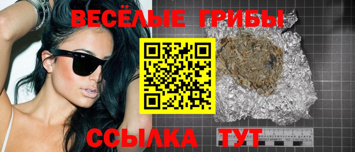 Псилоцибиновые грибы прущие грибы  Вход с VPN  Балашов 